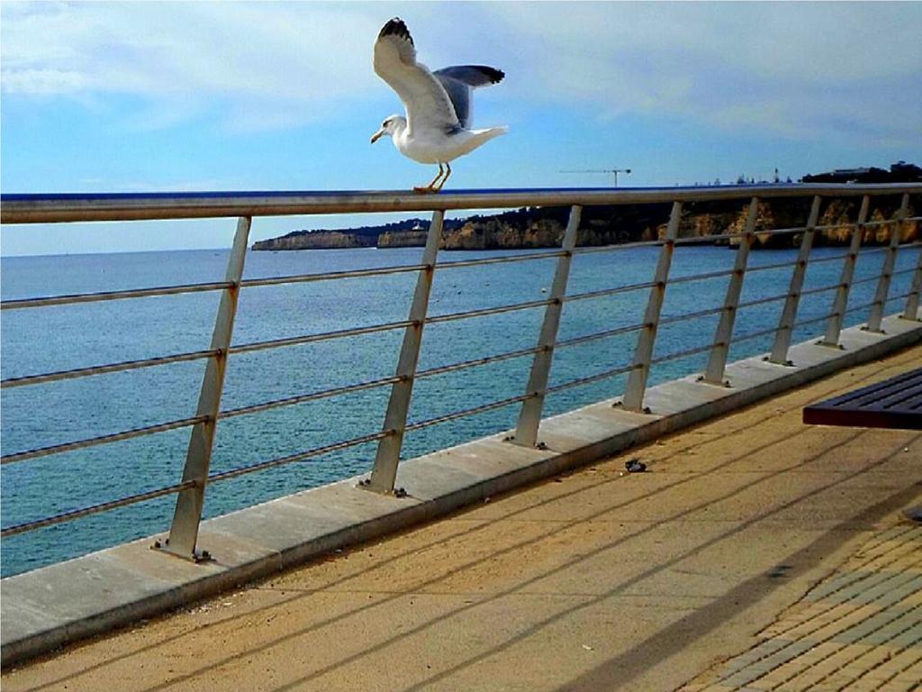 Armacao Beach Residences Armação de Pêra Eksteriør bilde